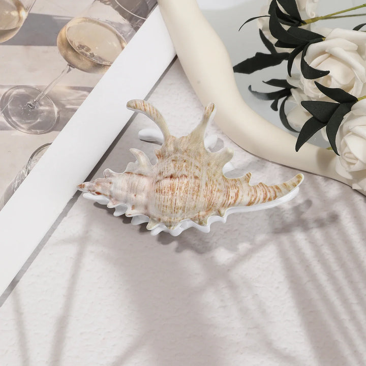 Marlowe | Decorative Seashell Ceramic Trinket Tray